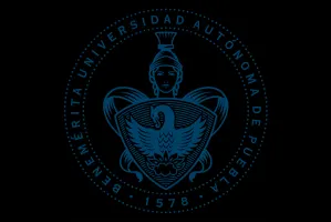 ¿Universidad de calidad o universidad crítica y popular?