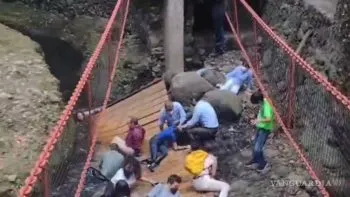 Colapsa puente colgante en Cuernavaca; edil, esposa y comitiva entre los heridos