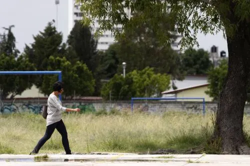 Comuna ha reforzado mantenimiento de parques públicos para evitar actos delictivos: Vergara
