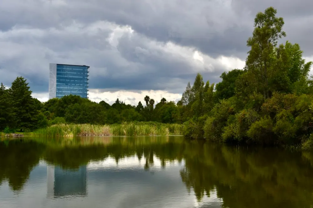 Jardín Botánico de la BUAP, 38 años de echar raíces y florecer