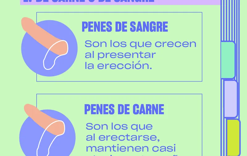 penepedia-platanomelon