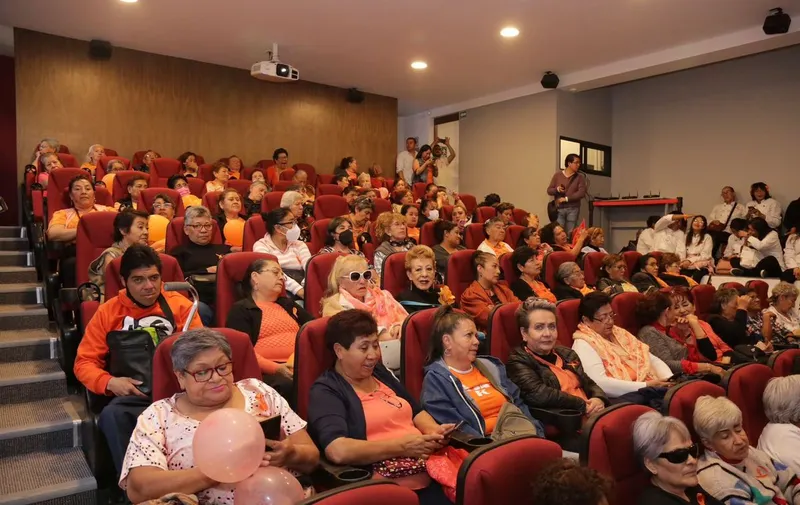 smdif-pue-25n-auditorio-alianza-francesa