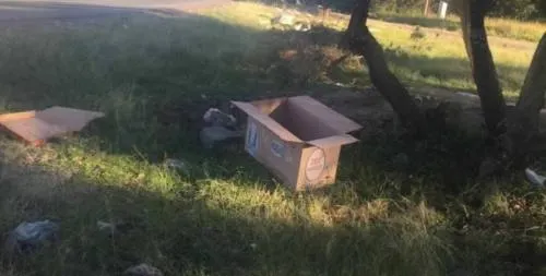 Abandonan a recién nacida en una caja de cartón en Chachapa