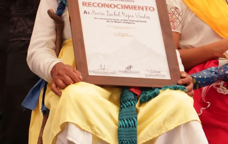 Primer festival de pueblos indígenas