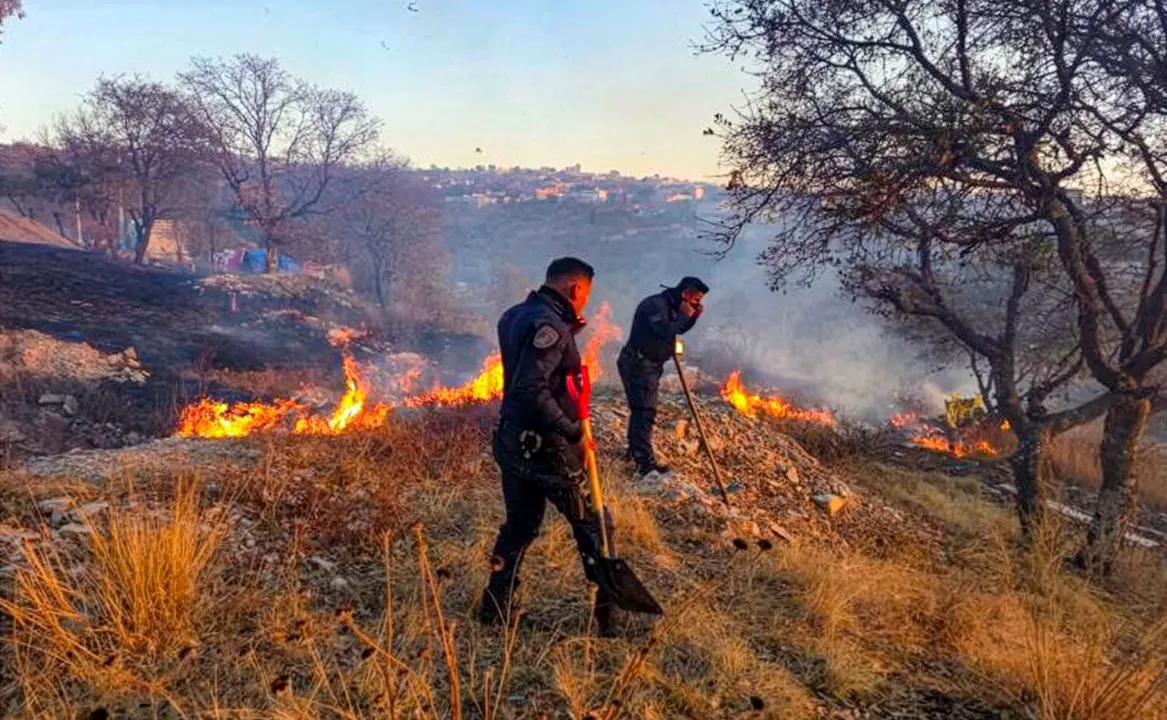 Policía Estatal Forestal y Bomberos