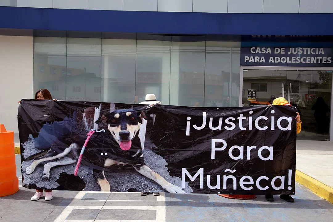 Justicia Para Muneca Atlixco