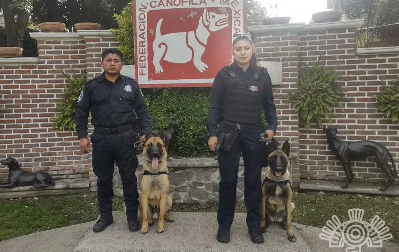 "Tory" y "César" fueron reconocidos como “Mejor Perro del Año en Trabajo y Servicio 2022”