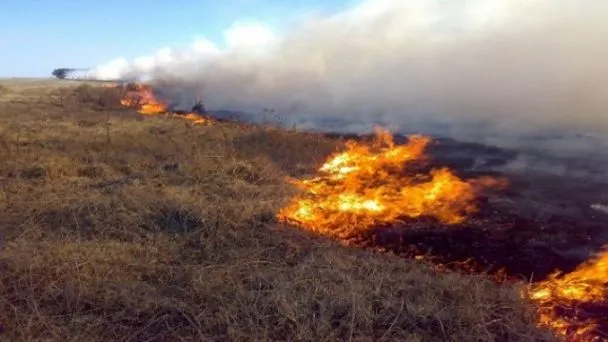 Incendio forestal en Argentina arrasa con más de 500 mil hectáreas