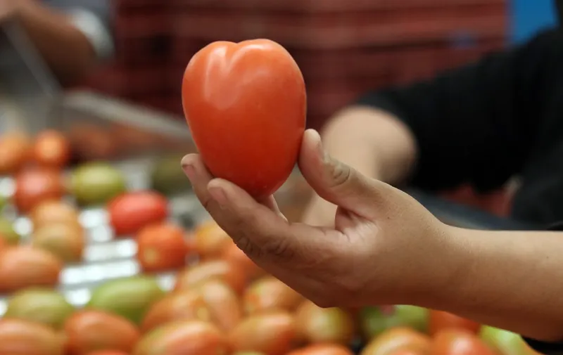La Secretaría de Desarrollo Rural fomenta exportación de frutas y verduras