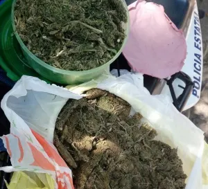 Seguridad Pública Estatal aseguró a una persona con marihuana