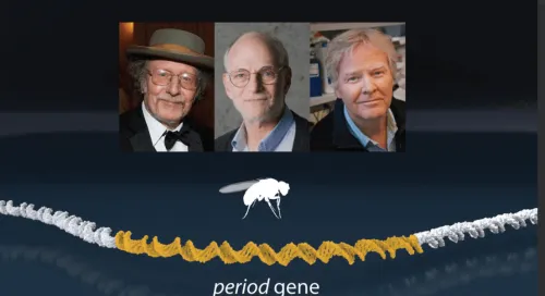Tres estadounidenses ganan Nobel de Medicina por sus hallazgos sobre ritmo circadiano