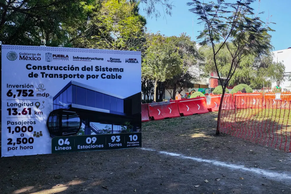 No serán talados, serán removidos: coordinador del Gabinete estatal, sobre 746 árboles afectados por construcción del Cablebús