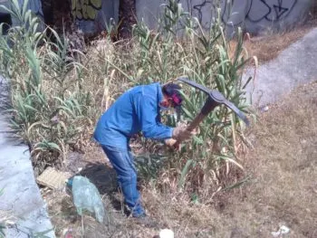 Mejoran imagen urbana en andador peatonal en Prados Agua Azul