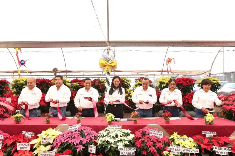 atlixco-festival-de-la-nochebuena-25