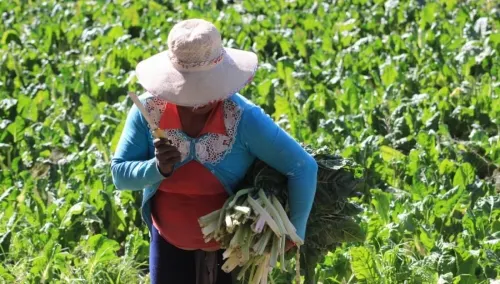 Productor poblano: conoce los requisitos para vender en línea, con aval del gobierno
