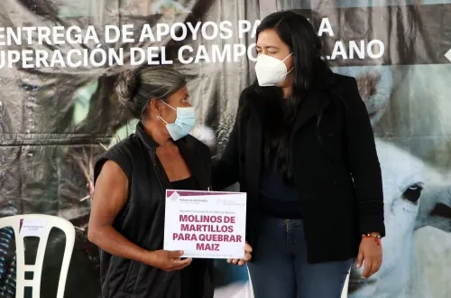 Seguirá el campo poblano como proyecto estratégico en 2021: Altamirano