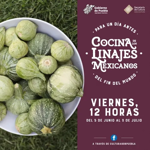 Ofertará Secretaría de Cultura talleres de Cocina Mesoamericana y Danza Incluyente