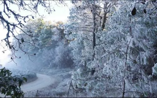 Prevén temperaturas de cero a menos cinco grados
