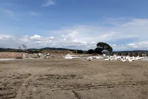 Semarnat deberá informar a la Comuna por árboles derribados en La Calera
