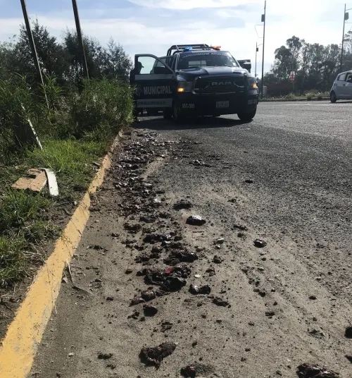 Vísceras de animal en Periférico causan alarma