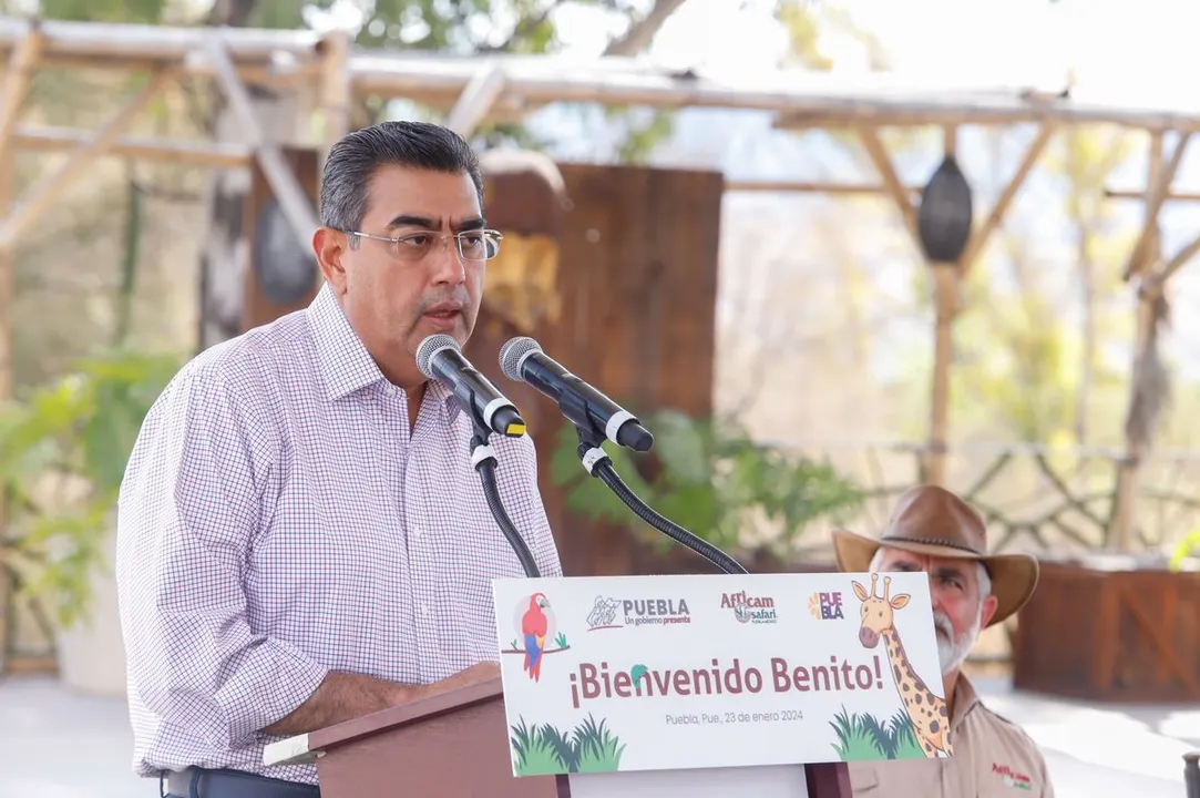 Sergio Salomon Cespedes Peregrina