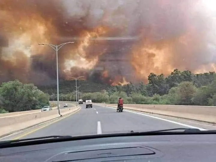 Incendios Argelia
