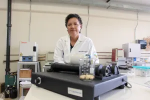 Nuevo método de descomposición de roca caliza