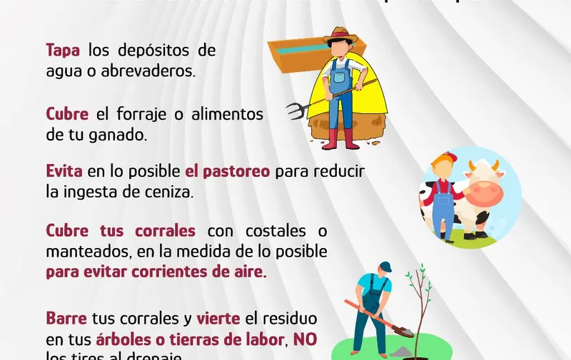 Imagen del artículo