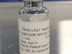 EEUU probará vacuna contra ébola en seres humanos