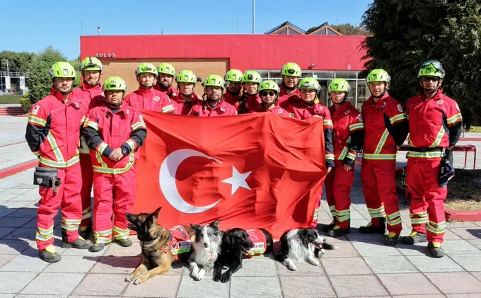 Perritos cruz roja