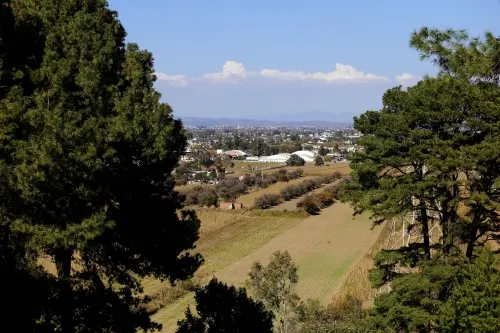 Emprenden Medio Ambiente y VW rehabilitación del Cerro Zapotecas