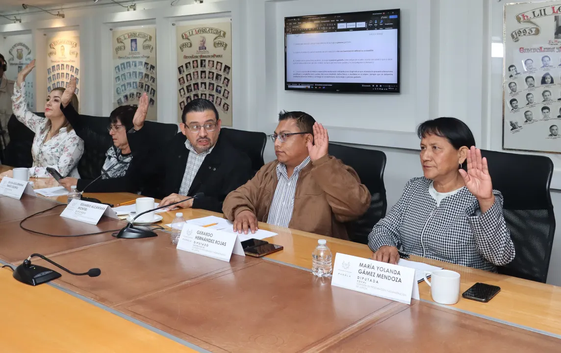 Puebla aprueba en comisiones la despenalización del aborto hasta las 12 semanas