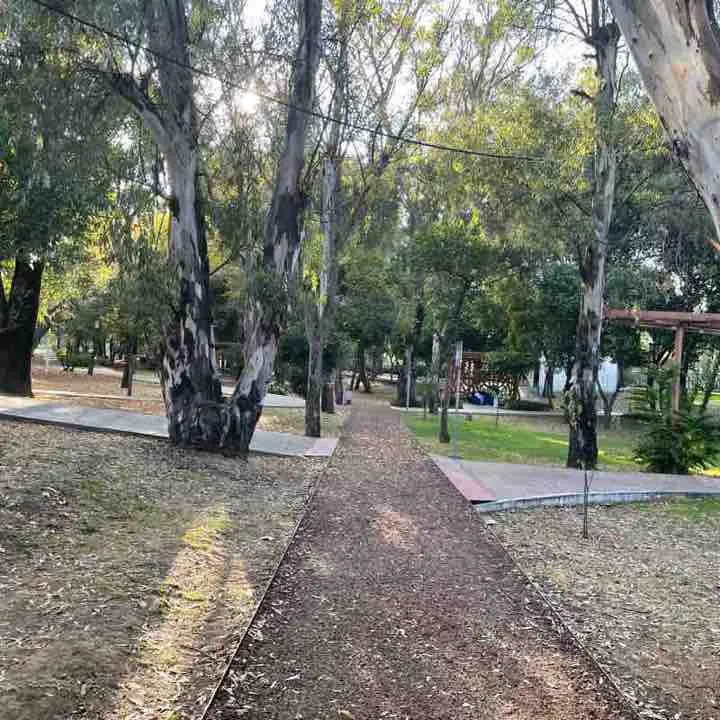 Imagen del artículo