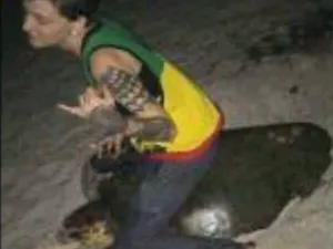 Mujer es arrestada por montar a una tortuga marina en Florida