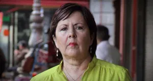 Amores Perros entre Priistas y Panistas (Catálogo para Principiantes)