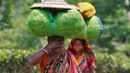 La economía india tiene un problema: no hay suficientes mujeres trabajando