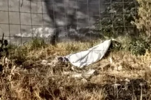 Hallan muerto a un integrantes del “Escuadrón de la Muerte” en Bosques de Santa Anita
