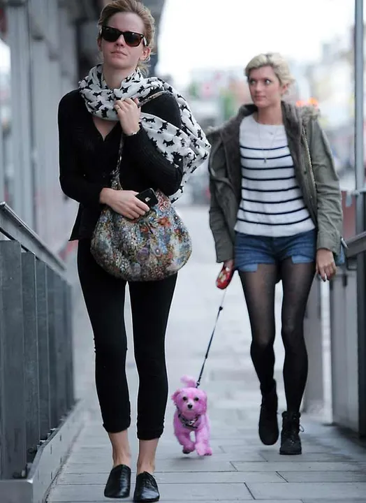 Emma Watson tiene un perro rosa