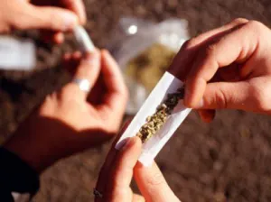 Se incrementa consumo de marihuana en México