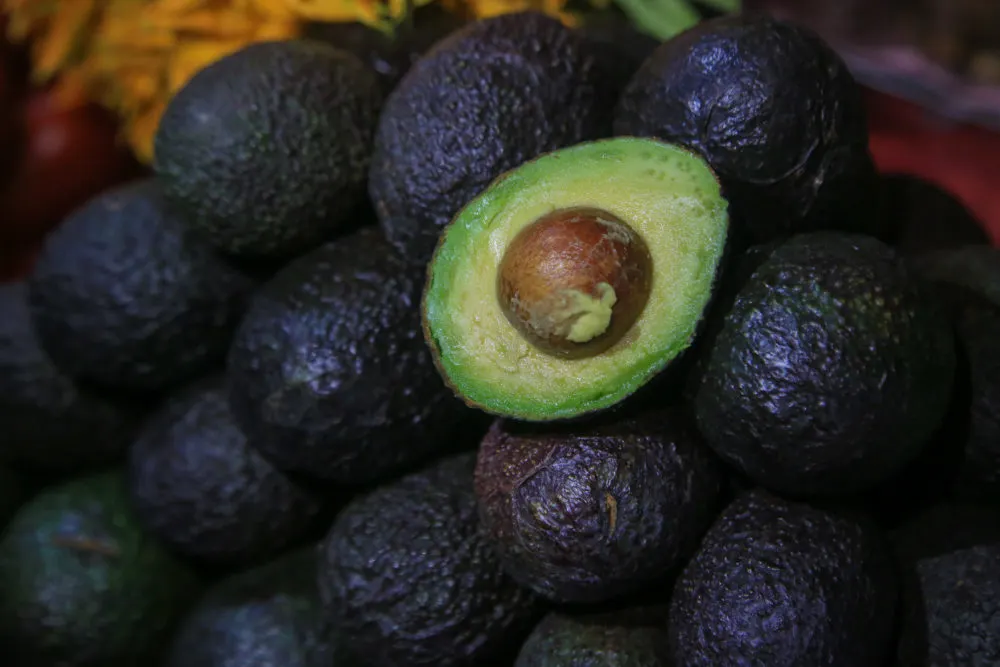 México - aguacate - Estados Unidos
