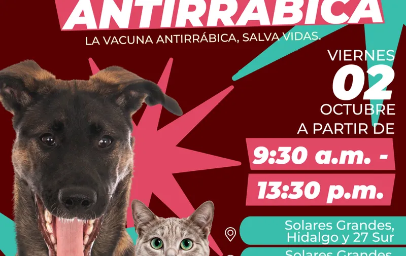 Atlixco llevará vacunación antirrábica para perros y gatos a colonias y comunidades