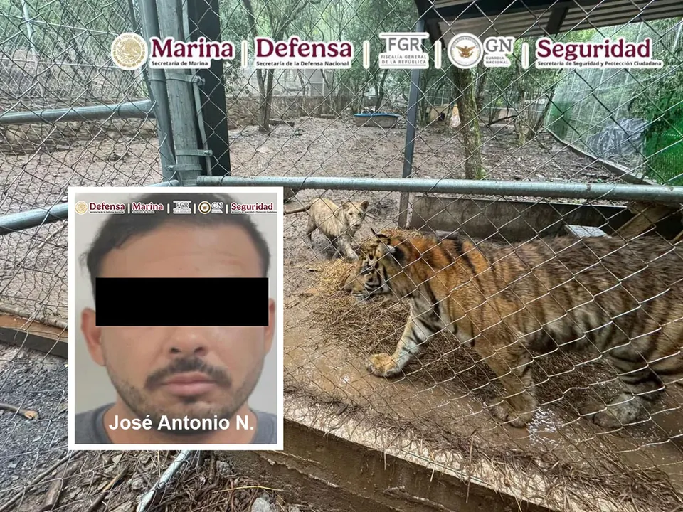 Jose Antonio N Lider Cartel Noroeste Dtn