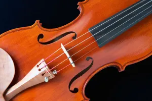 El origen del violín aún es un misterio