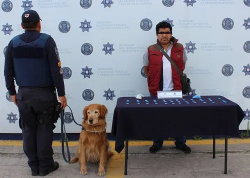 Detienen en la CAPU a probable narcomenudista