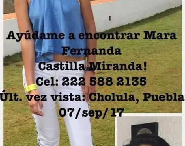 Imagen del artículo