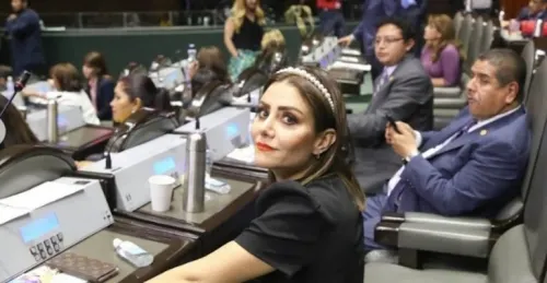 ¿Quién es Nay Salvatori, la diputada que va por la prohibición de los memes?