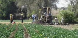 Encuentra Pemex cinco tomas clandestinas en San Martín Texmelucan