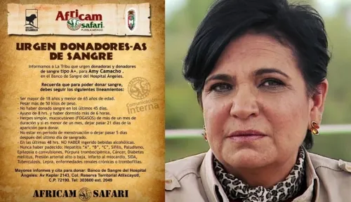 Reportan a Amy Camacho, dueña de Africam, en estado grave; piden donadores de sangre A+