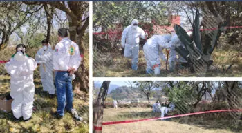 Realiza Fiscalía de Puebla exhumación de un animal en Zacatlán ante presunto caso de crueldad