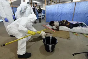 Por primera vez hay menos de cien casos de ébola en una semana: OMS